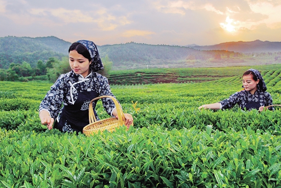 茶道用具有哪些？  13种常见茶具的使用方法图解